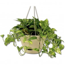 Missry Self Watering Flare Hanging Planter - Set of 3   